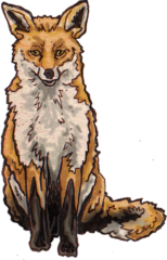 Fox John Rooney