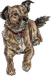 Dog 2 John Rooney