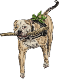 Tourists John Rooney