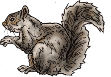 Pearse Lyons Distillery illustration John Rooney