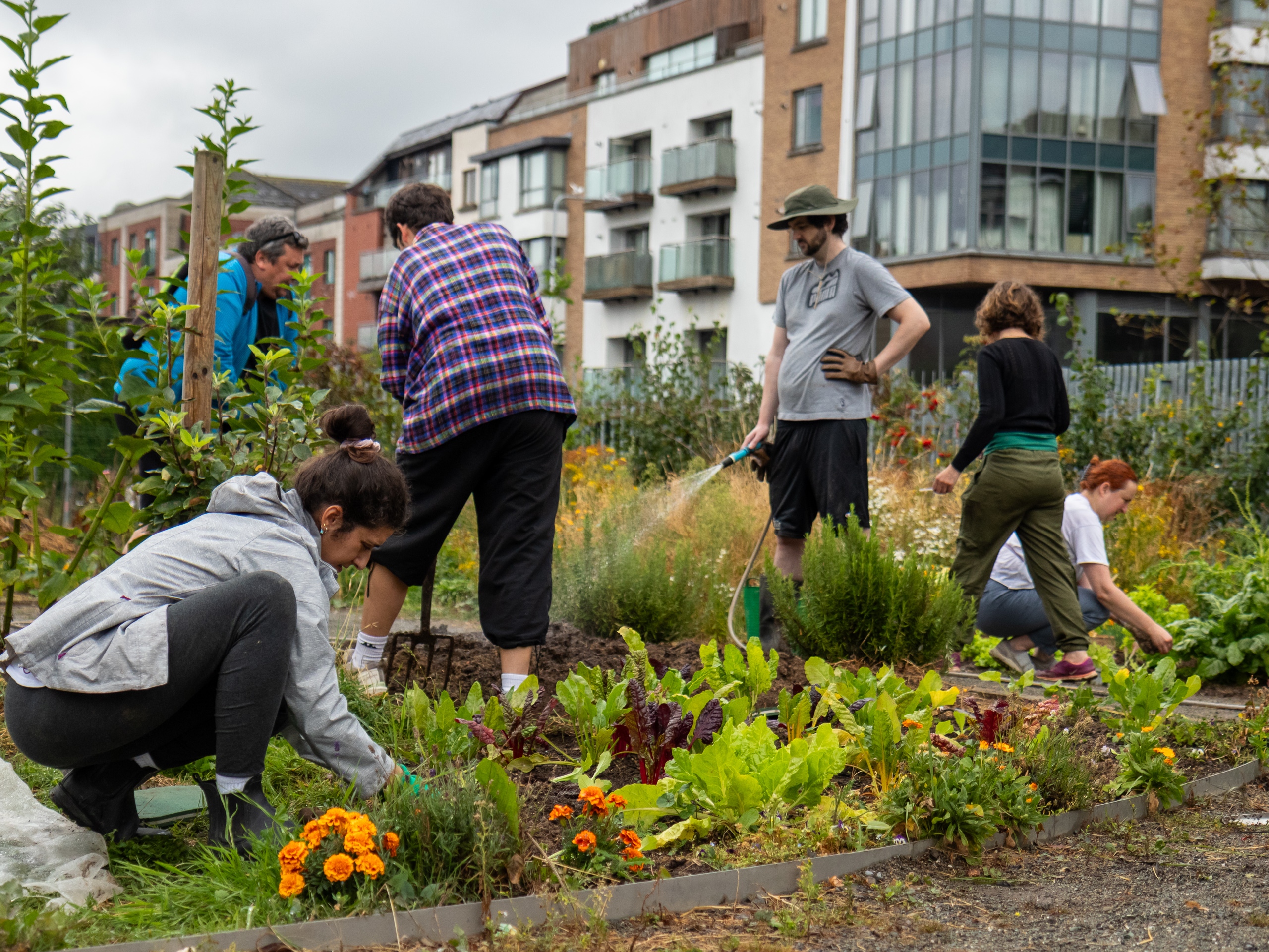 Working in the Garden - Photo by Claire Whitehead