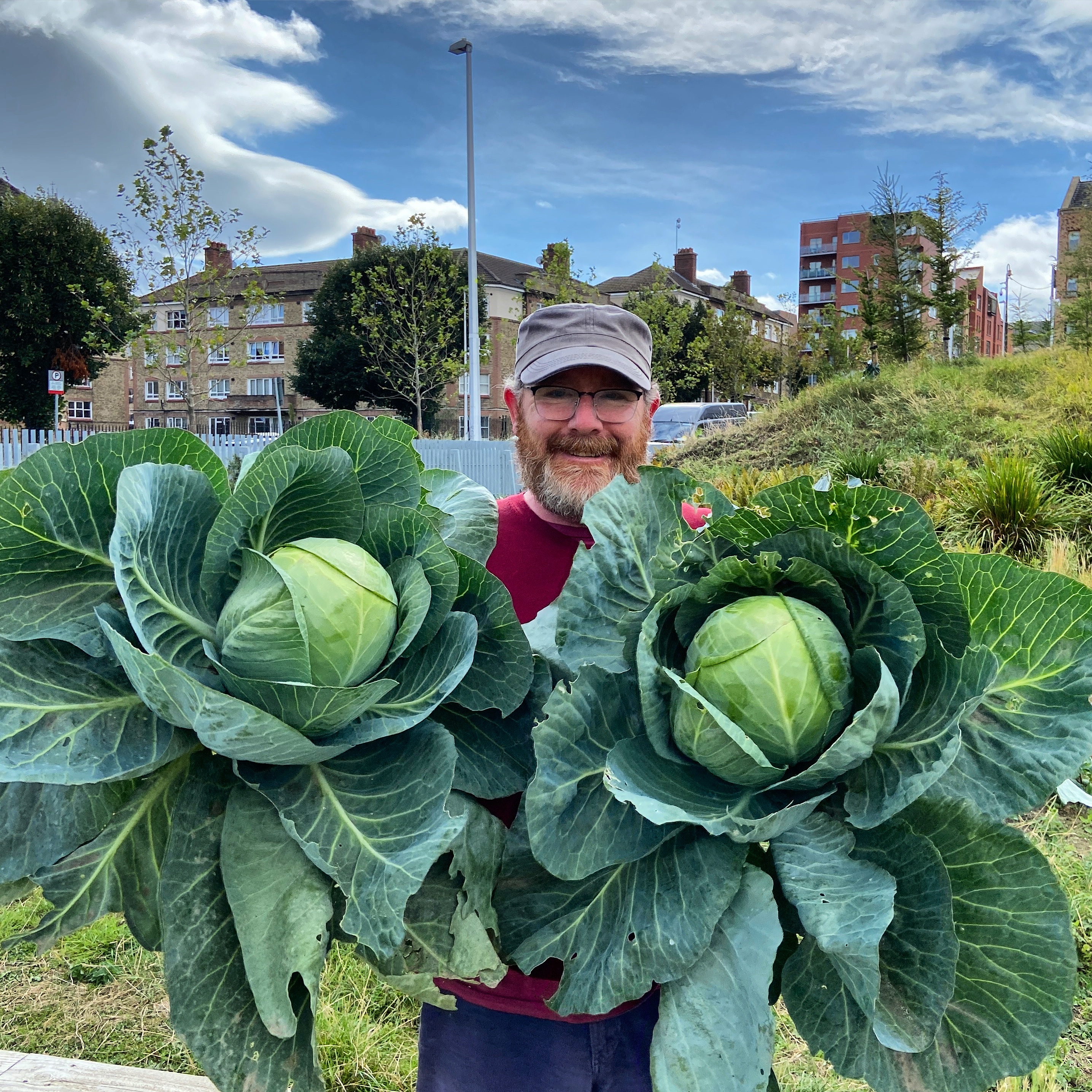 The famous 'Bob' - with cabbages from the garden!