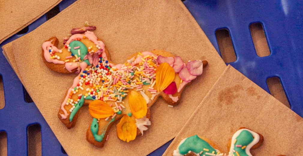 IMG 4659 Marta Flowerbean