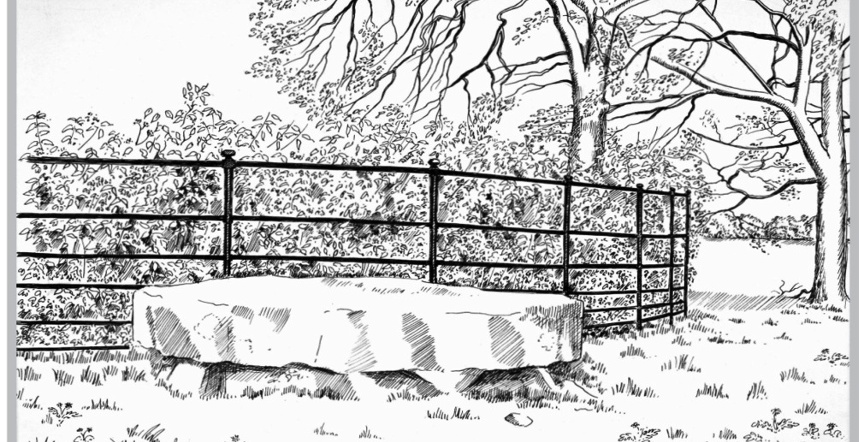 Image 25 03 2026 at 11 17