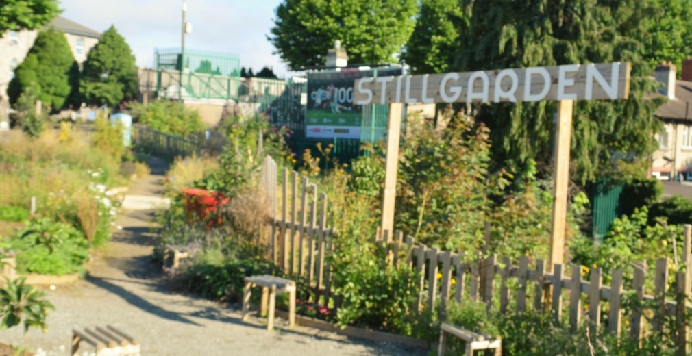 Stillgarden Social Botanics