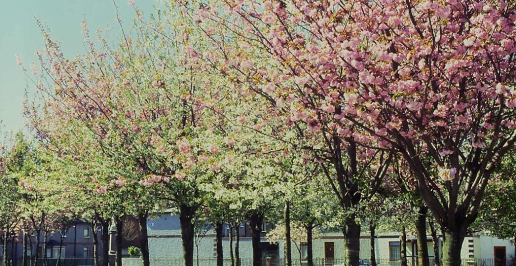 Oscar Square