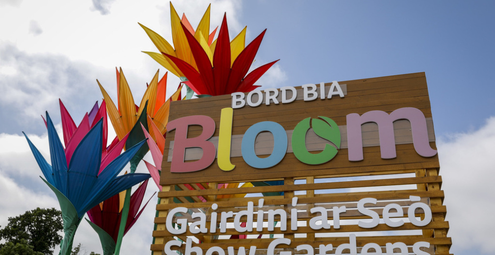 Bloom Festival Picture