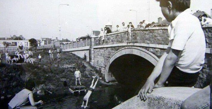 Dolphins Barn Bridge credit DCLA