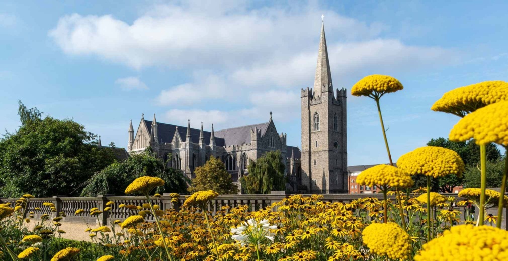 St Patricks Cathedral Summer