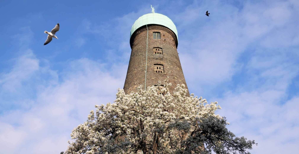 St Patricks Tower The Digital Hub