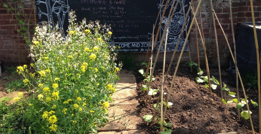 St Thomas Allotments