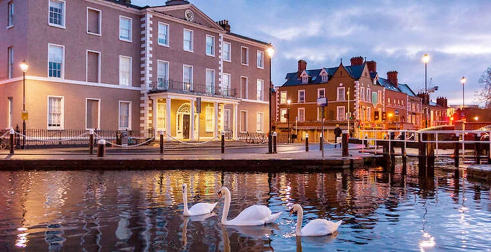 Portobello harbour swans