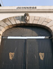 Photo 27 05 2020 19 46 56