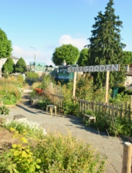 Stillgarden Social Botanics