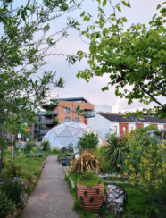 Screen Shot 2024 09 11 at 15 51 24