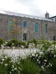St Lukes Park