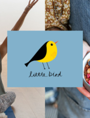 Littlebird 1