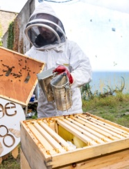 Bee8 Social