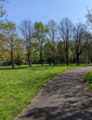 Grattan Cresent Park