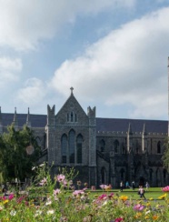 St Patricks Cathedral Spring