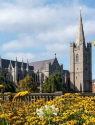 St Patricks Cathedral Summer