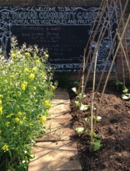 St Thomas Allotments