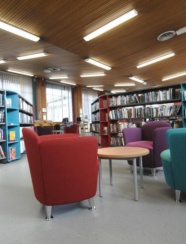 Dolphins barn interior