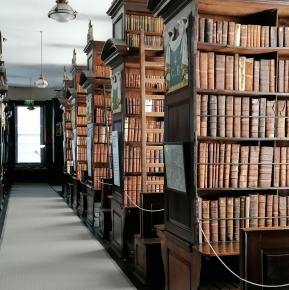 IMG 20220310 134835 Amy Ryan