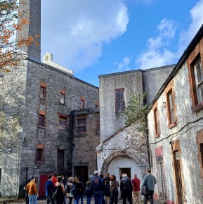 KM for CD8 Landscape Justine Murphy