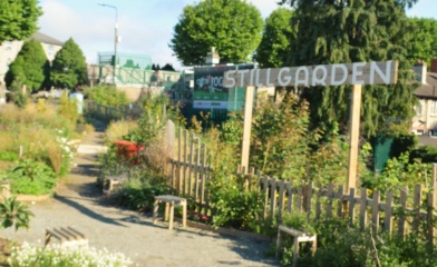 Stillgarden Social Botanics