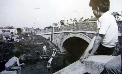 Dolphins Barn Bridge credit DCLA