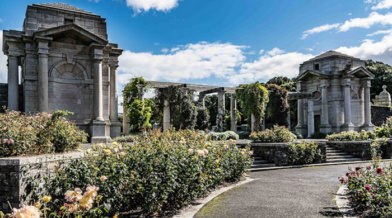 Photo Credit William Murphy, Flickr