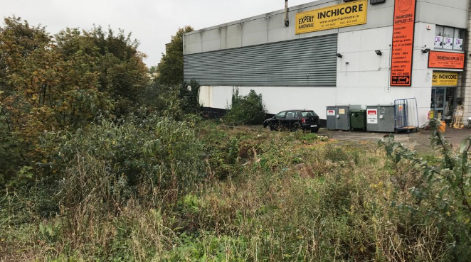 Social Botanist Beginnings