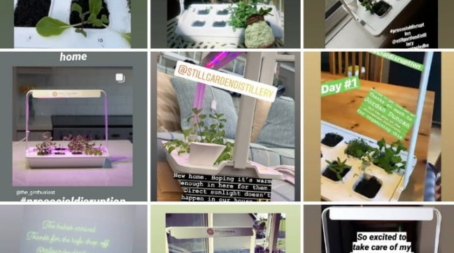 Botanist Seed Growing