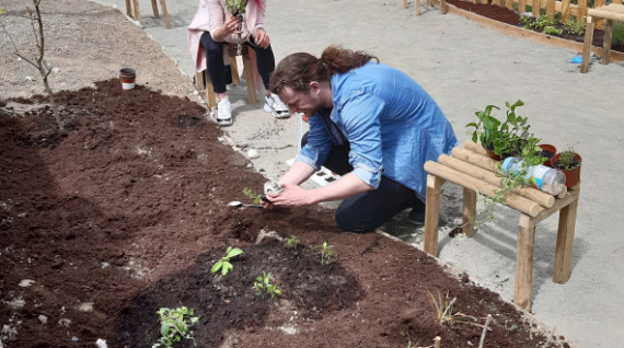 Social Botanist Growing